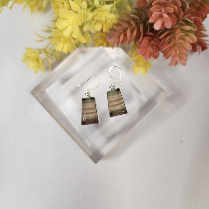 Fluorite Earrings  -JDS26168