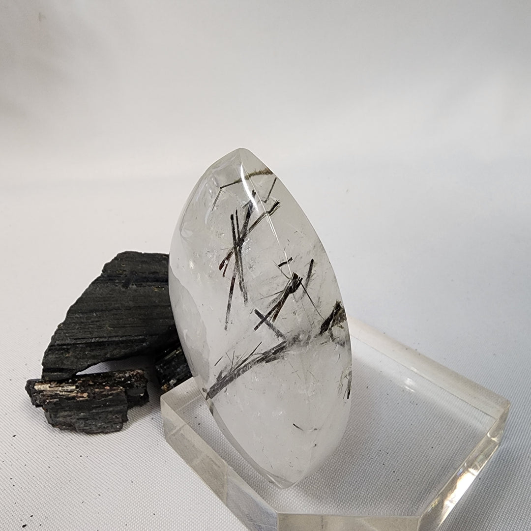 Black Tourmaline in Quartz-CR26036