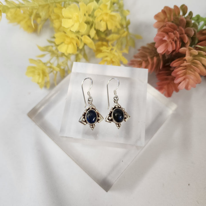 Labradorite Earrings  -JDS26046