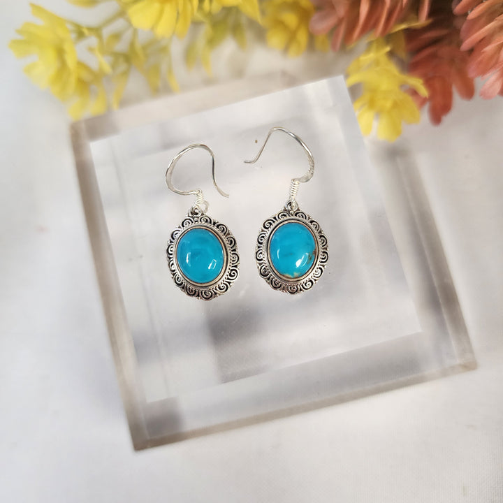 Turquoise Earrings  -JDS26174