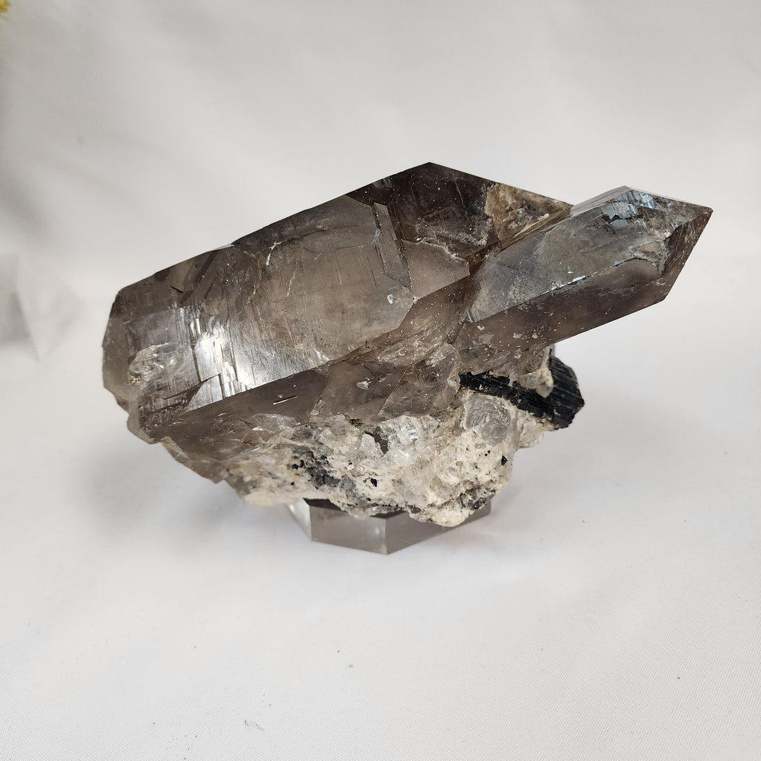 Smoky Elestial Quartz Specimen-MT26-003