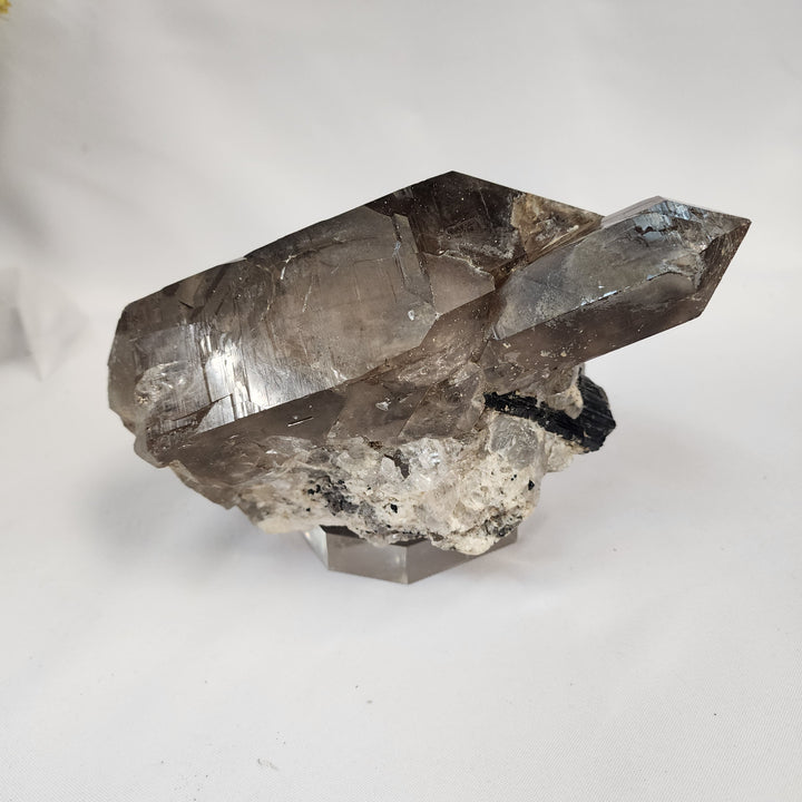 Smoky Elestial Quartz Specimen-MT26-003