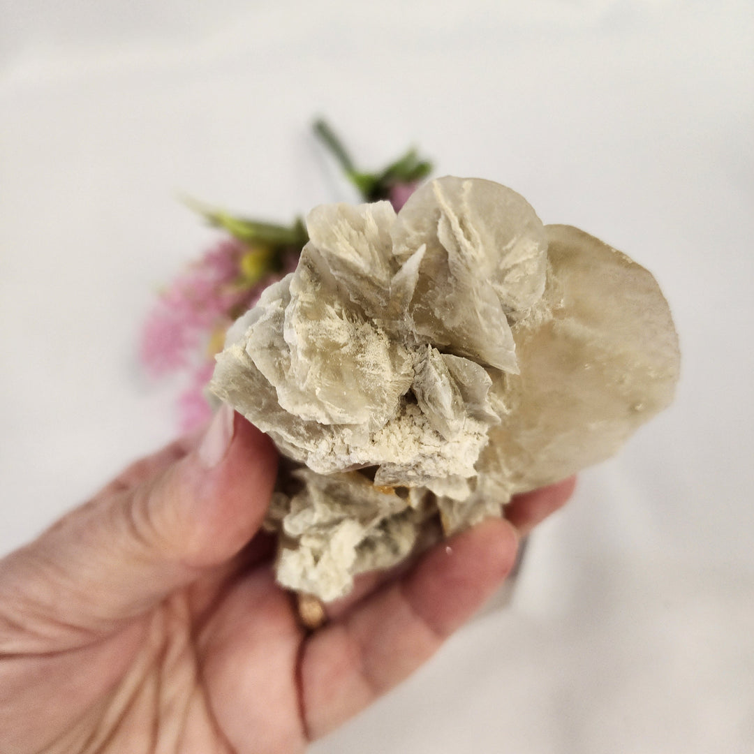 Selenite Cluster-MT26-005