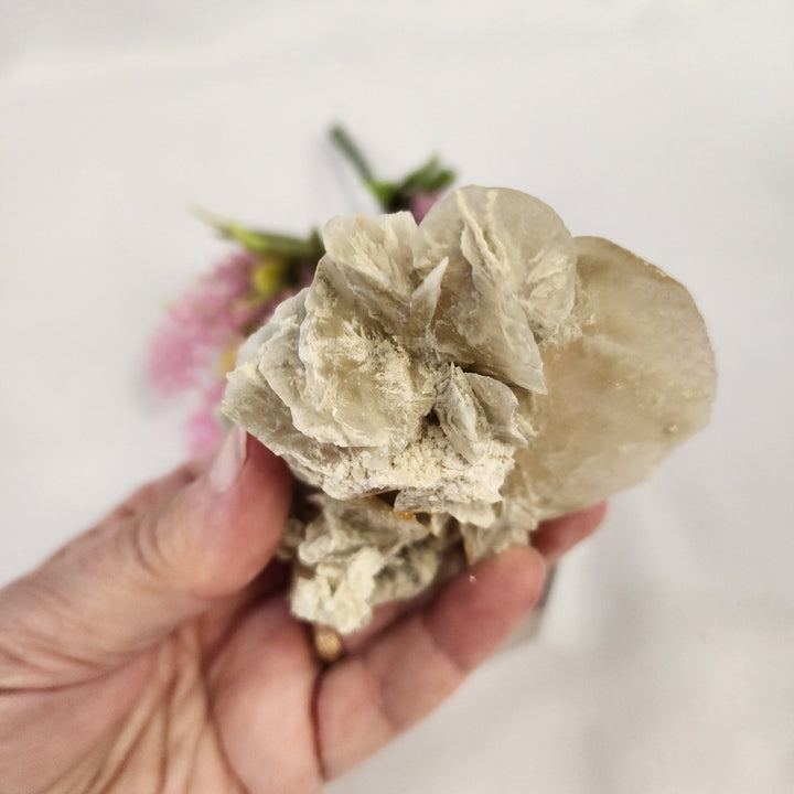 Selenite Cluster-MT26-005