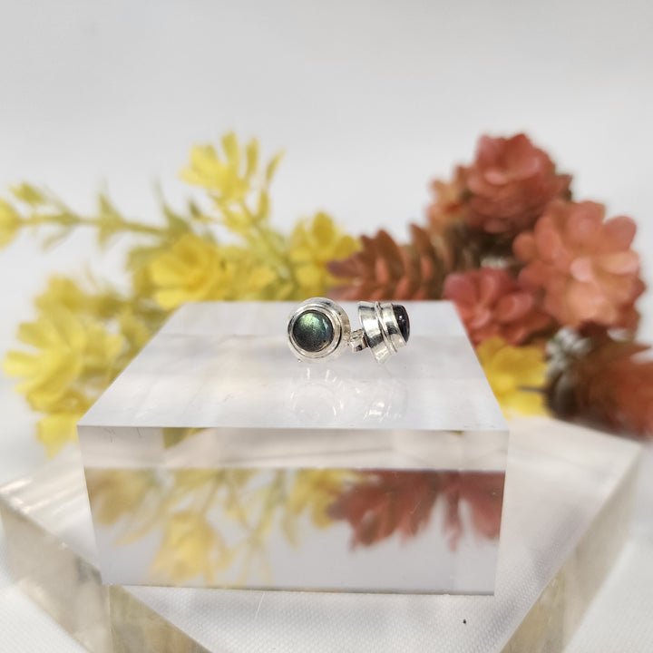 Labradorite Earrings  -JDS26058