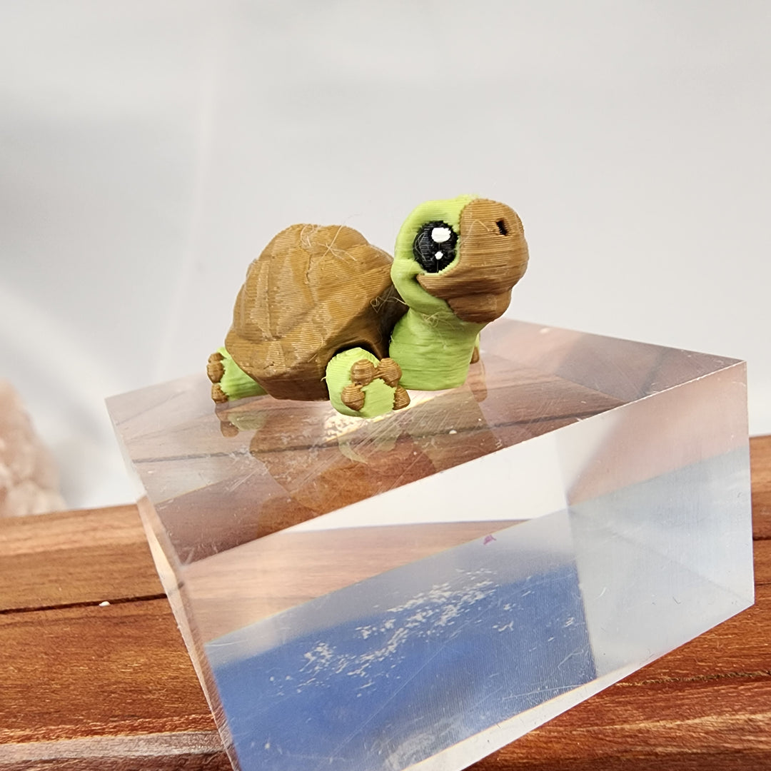Fidget Spirit Animal - Turtle