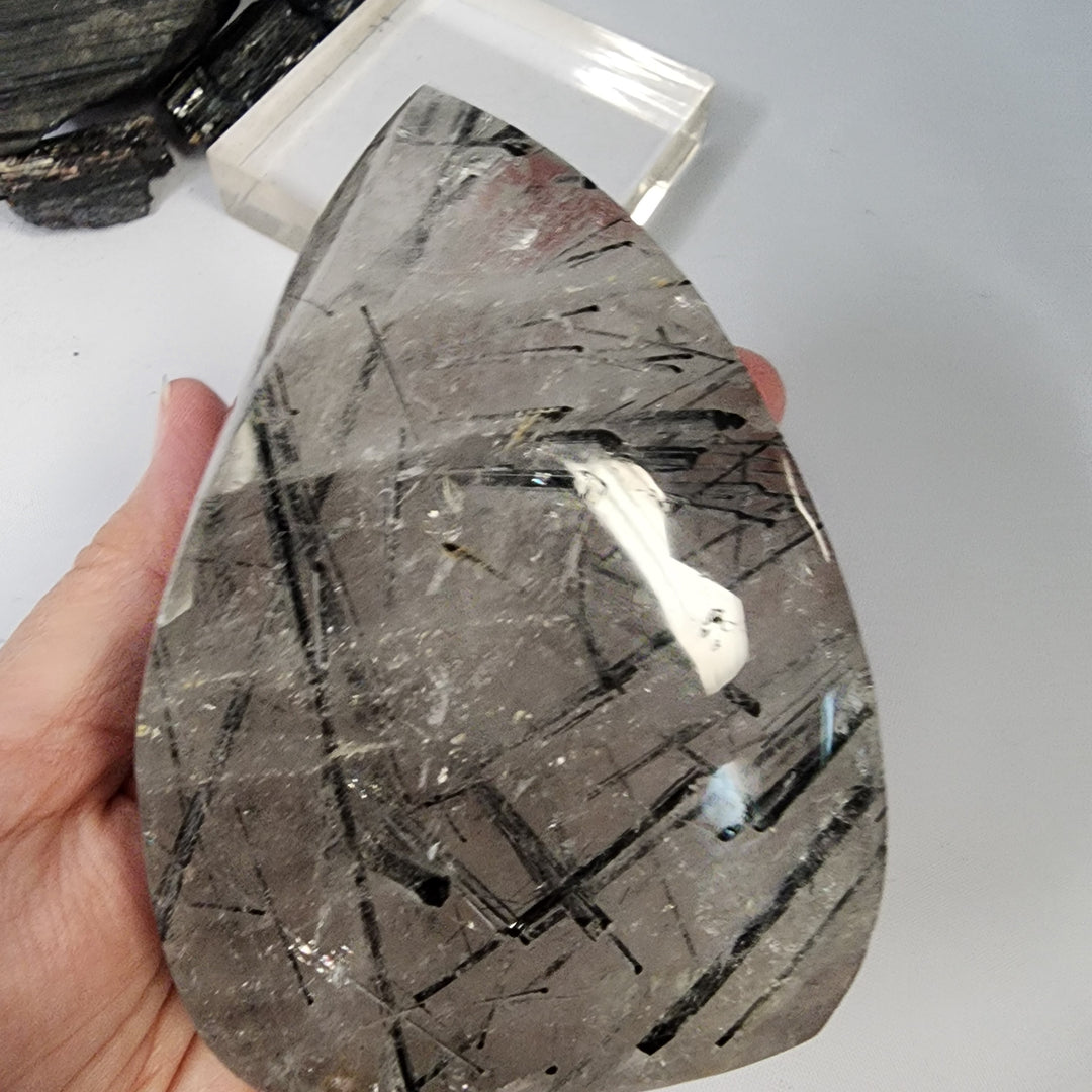 Black Tourmaline in Quartz-CR26043