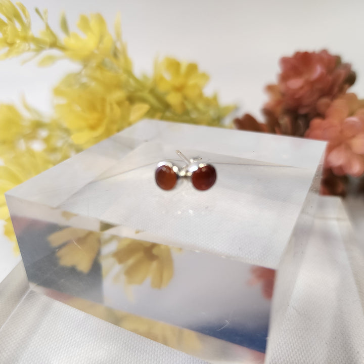 Carnelian Earrings SS  -JDS26012