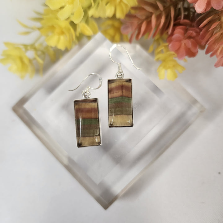Fluorite Earrings  -JDS26170