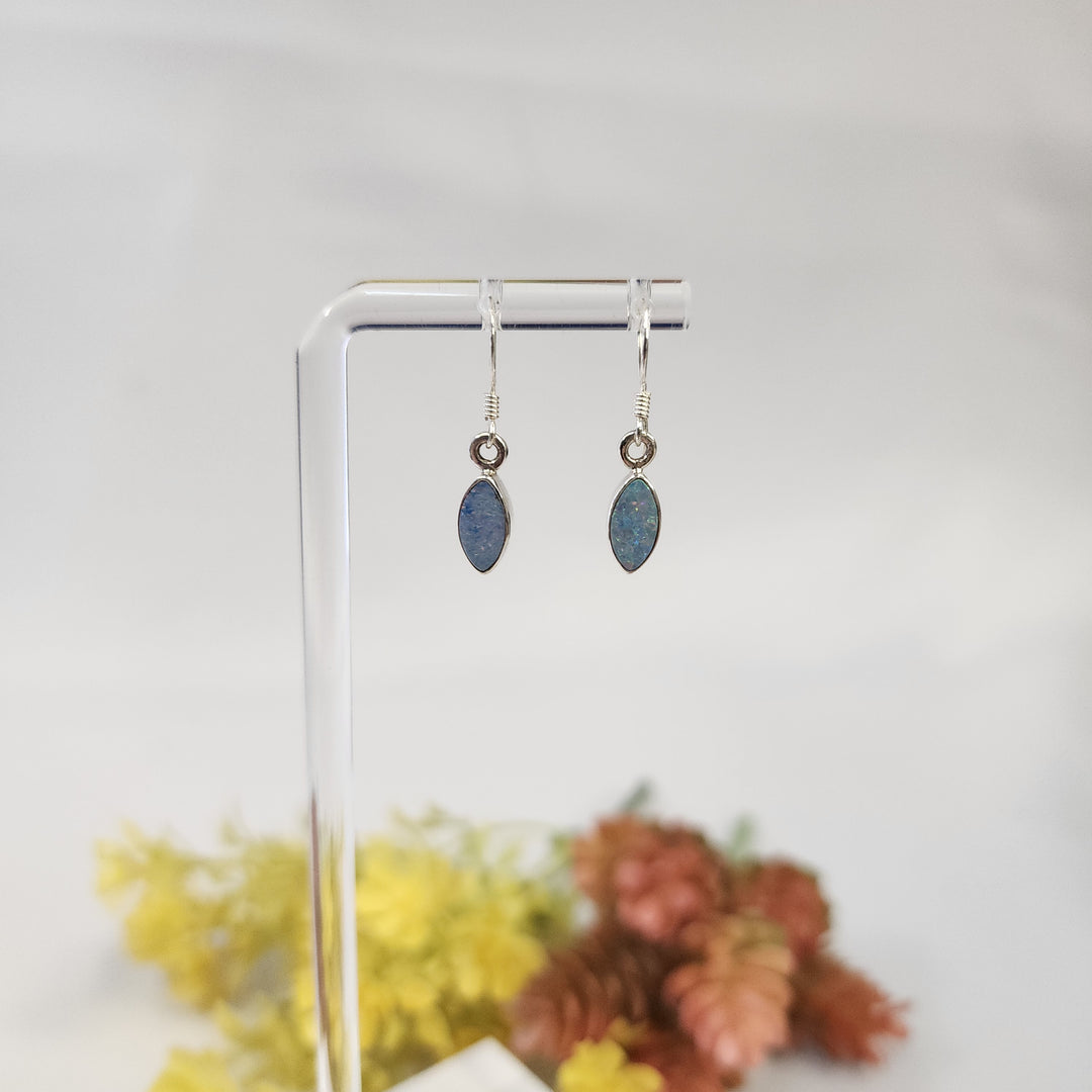 Blue Opal Earrings  -JDS26166