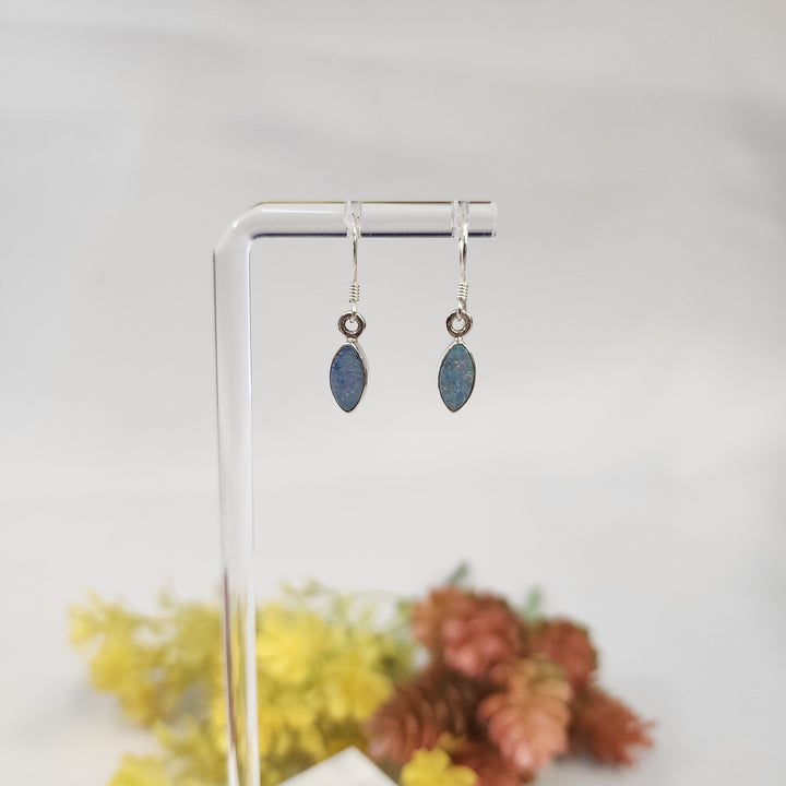 Blue Opal Earrings  -JDS26166
