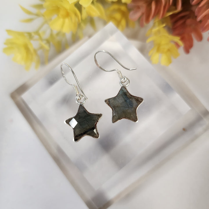 Labradorite Earrings  -JDS26081