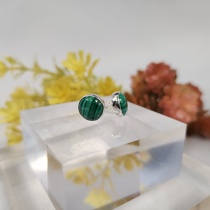 Malachite Earrings  -JDS26075