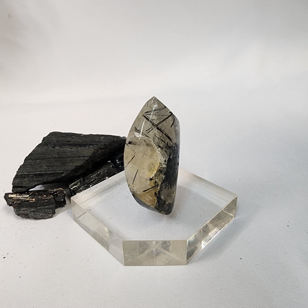 Black Tourmaline in Quartz-CR26034
