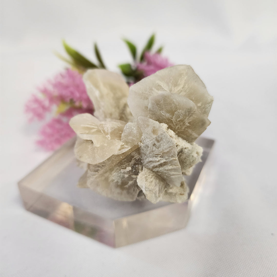 Selenite Cluster-MT26-005