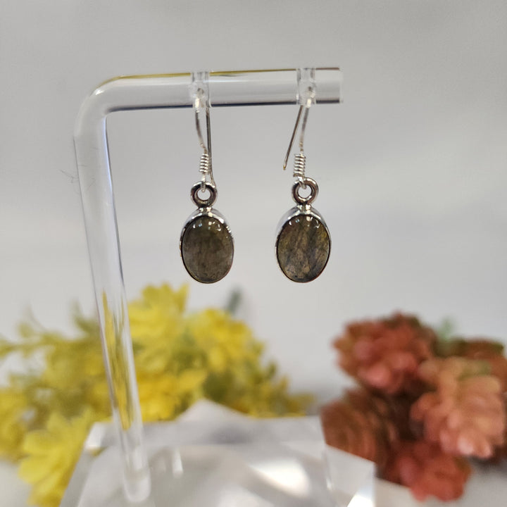 Labradorite Earrings  -JDS26068