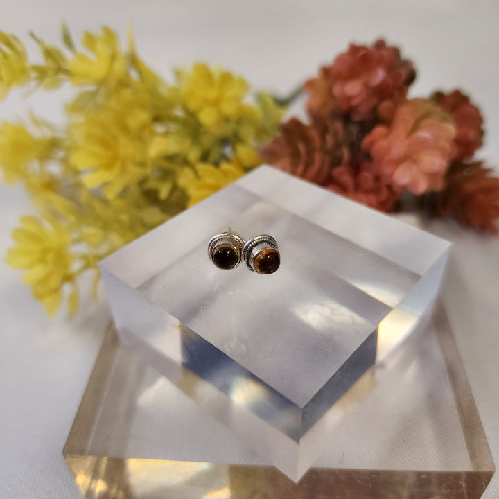 Citrine Earrings SS  -JDS26016