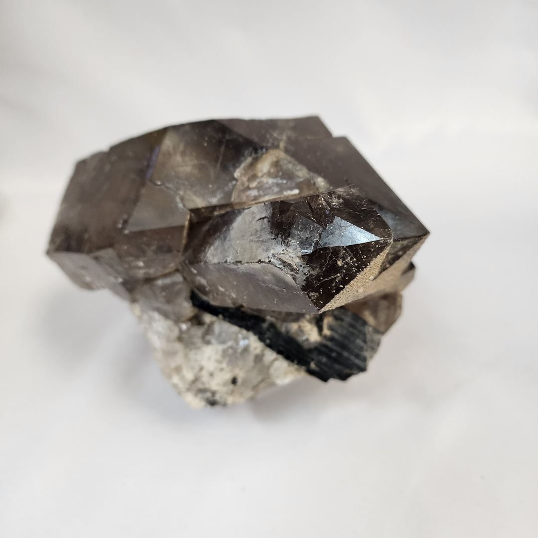 Smoky Elestial Quartz Specimen-MT26-003