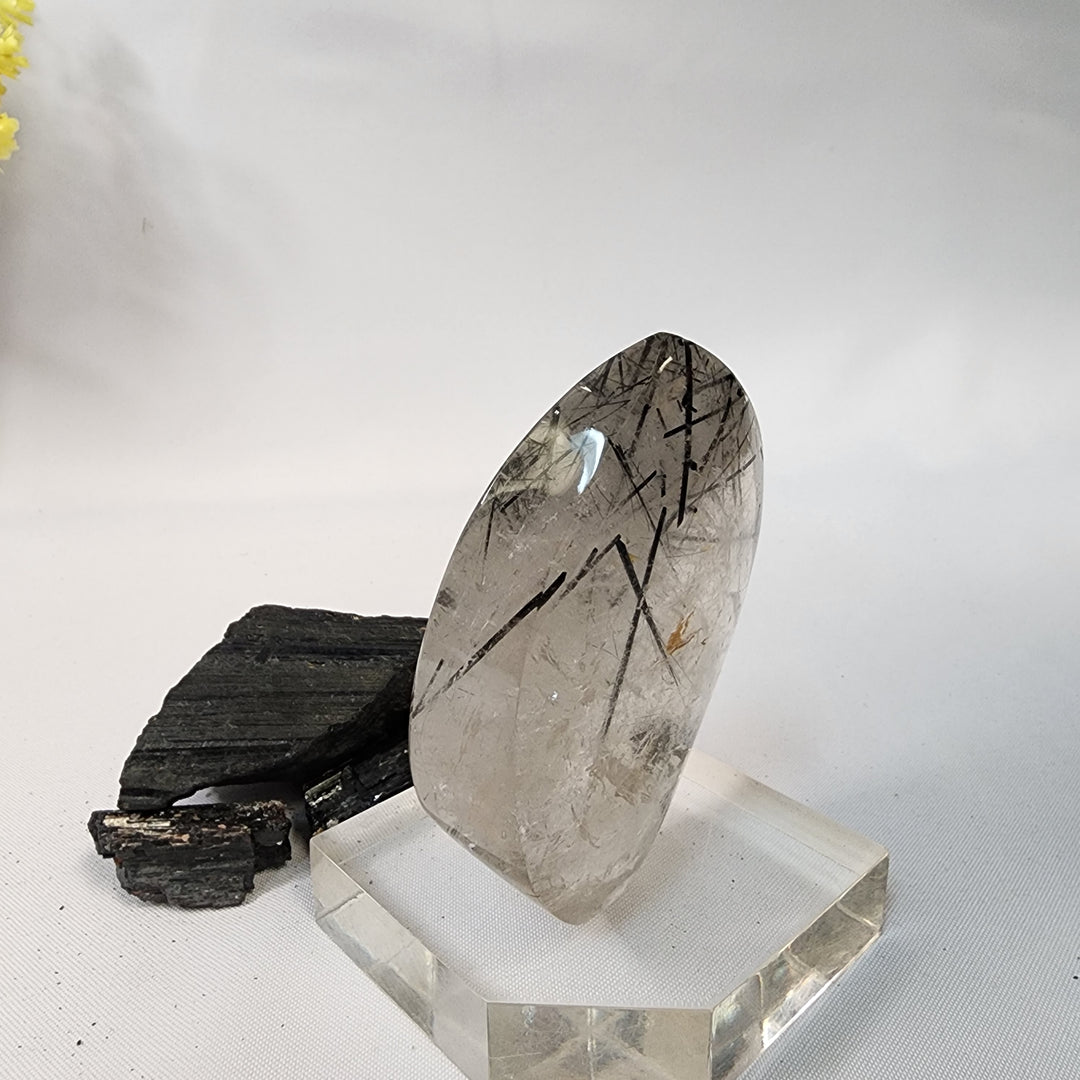Black Tourmaline in Quartz-CR26039