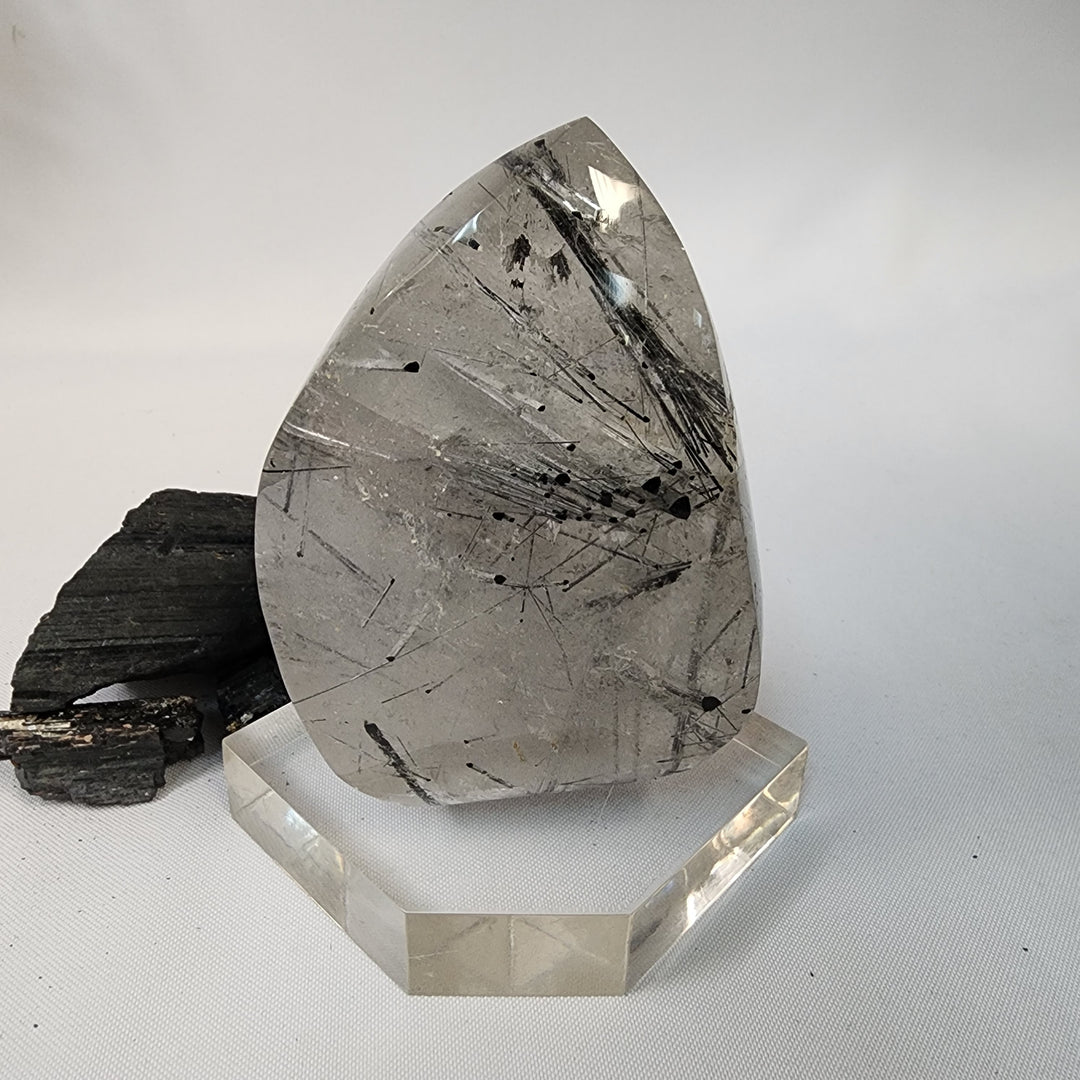 Black Tourmaline in Quartz-CR26043
