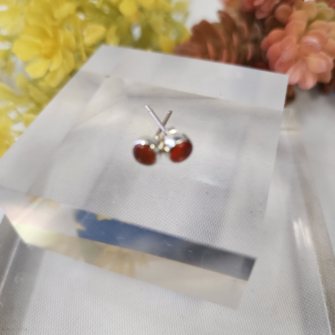 Carnelian Earrings SS  -JDS26012