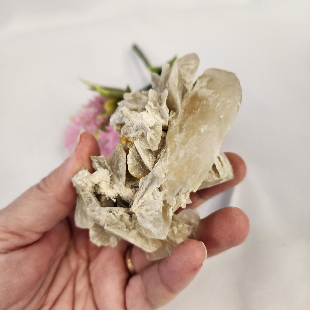 Selenite Cluster-MT26-005