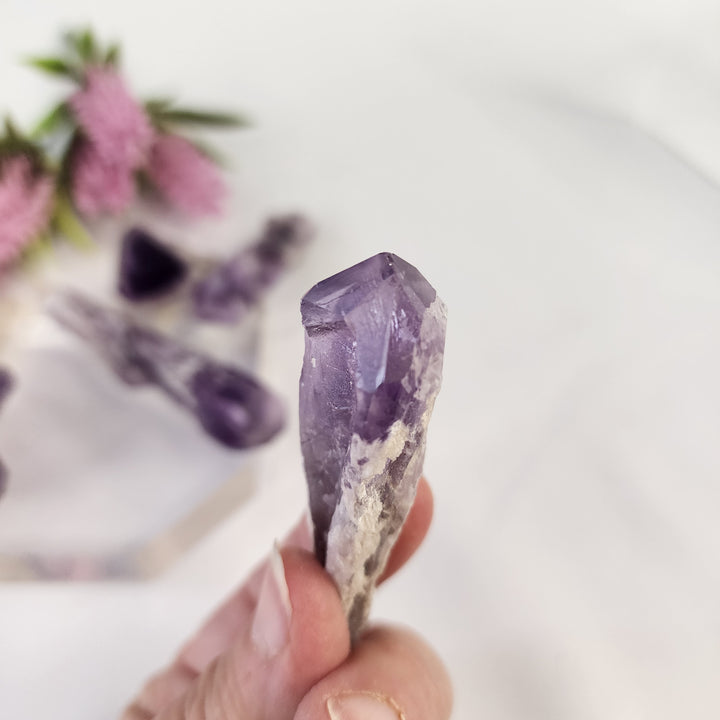 Amethyst Cathedral Point-PT21-3