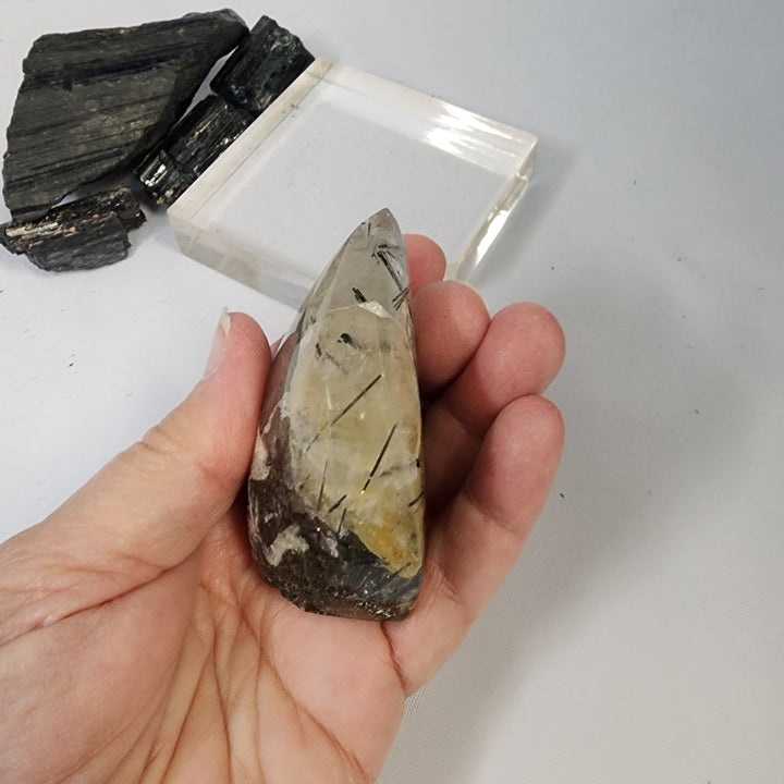 Black Tourmaline in Quartz-CR26034