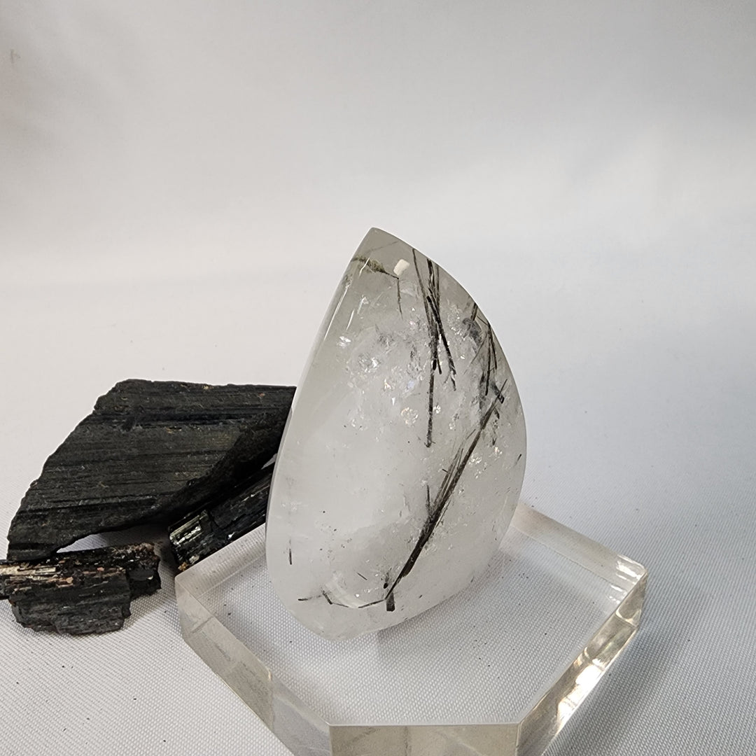 Black Tourmaline in Quartz-CR26036