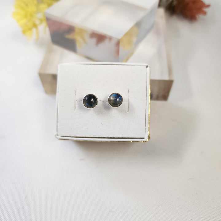 Labradorite Earrings SS  -JDS26014