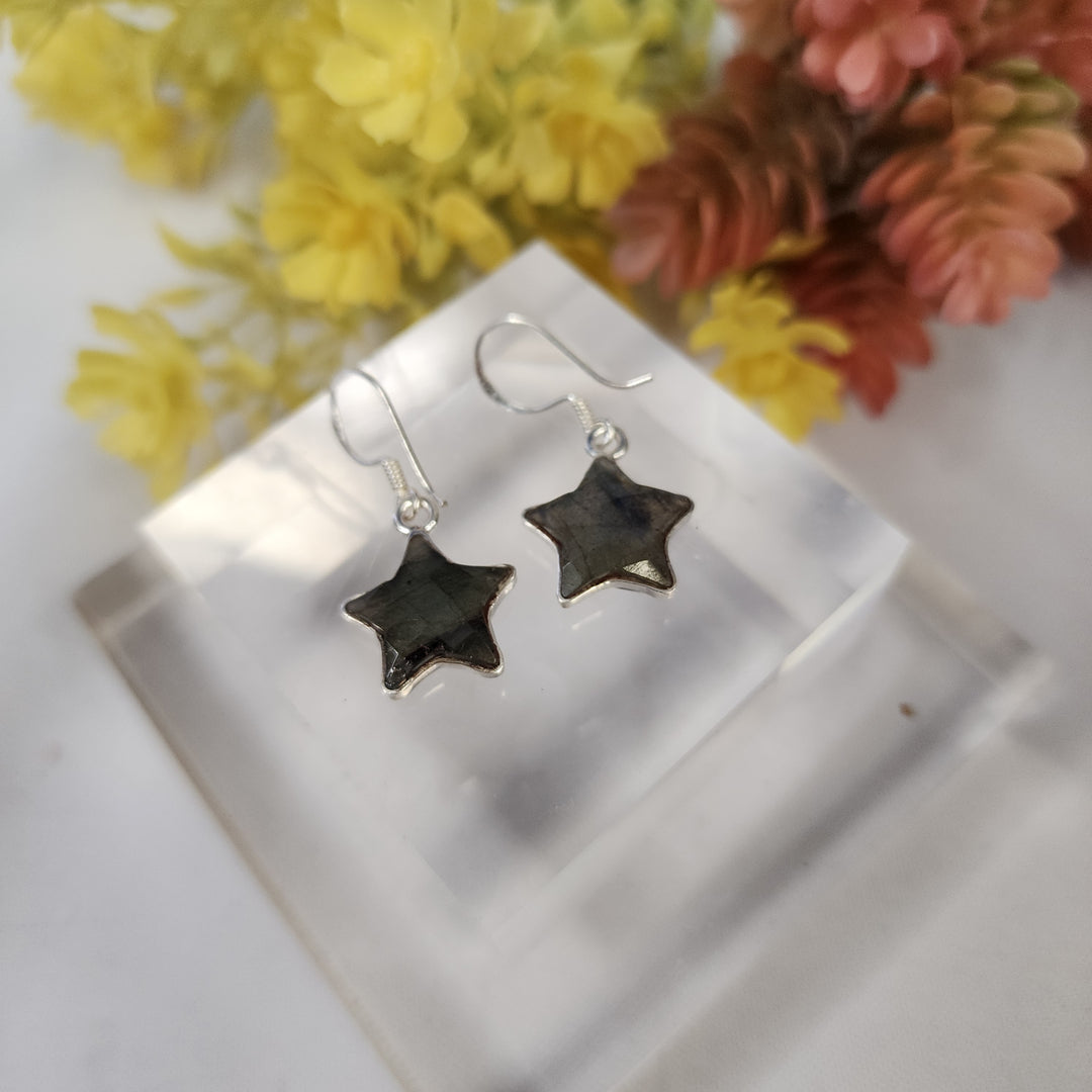 Labradorite Earrings  -JDS26081