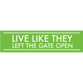Gate open - Bumper Sticker (C-4)
