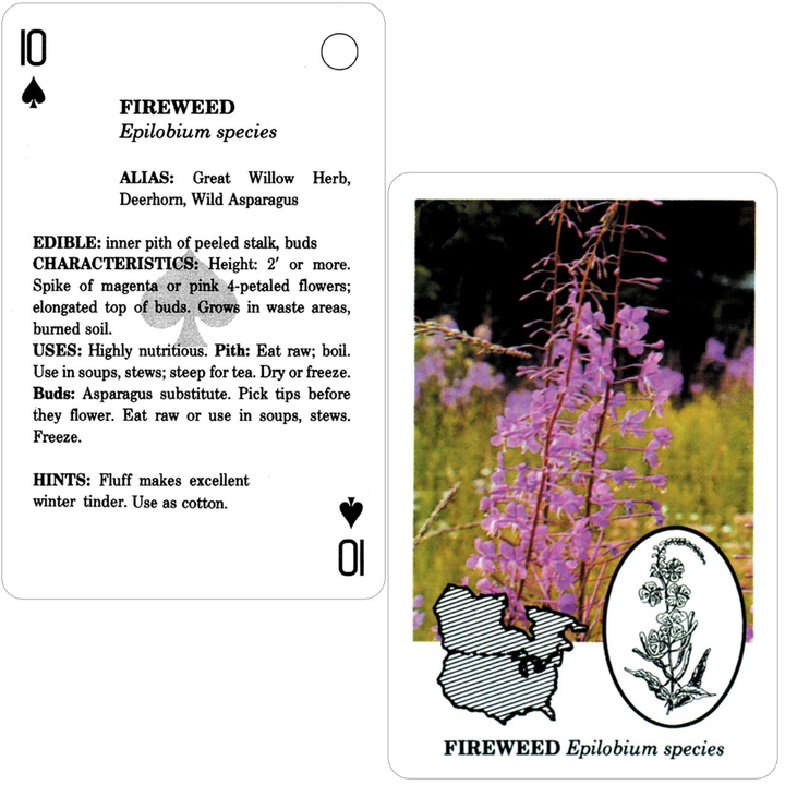 Edible Wild Foods Playing Cards