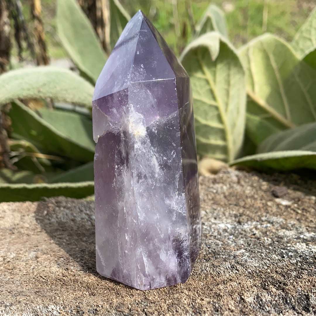 Amethyst CCEC113