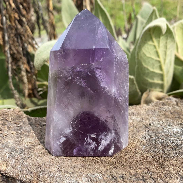 Amethyst CCEC113