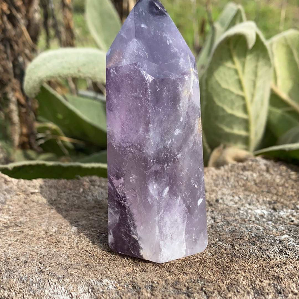 Amethyst CCEC113