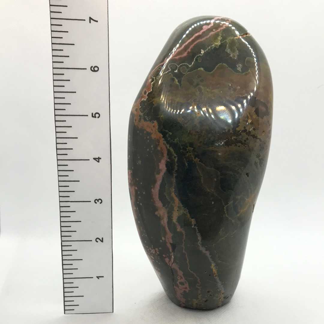 Ocean Jasper Free Form WZ654