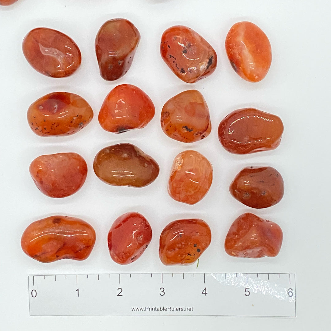 Carnelian Polished C305