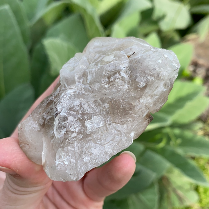 Smoky Elestial Quartz Cluster-ELE2-15