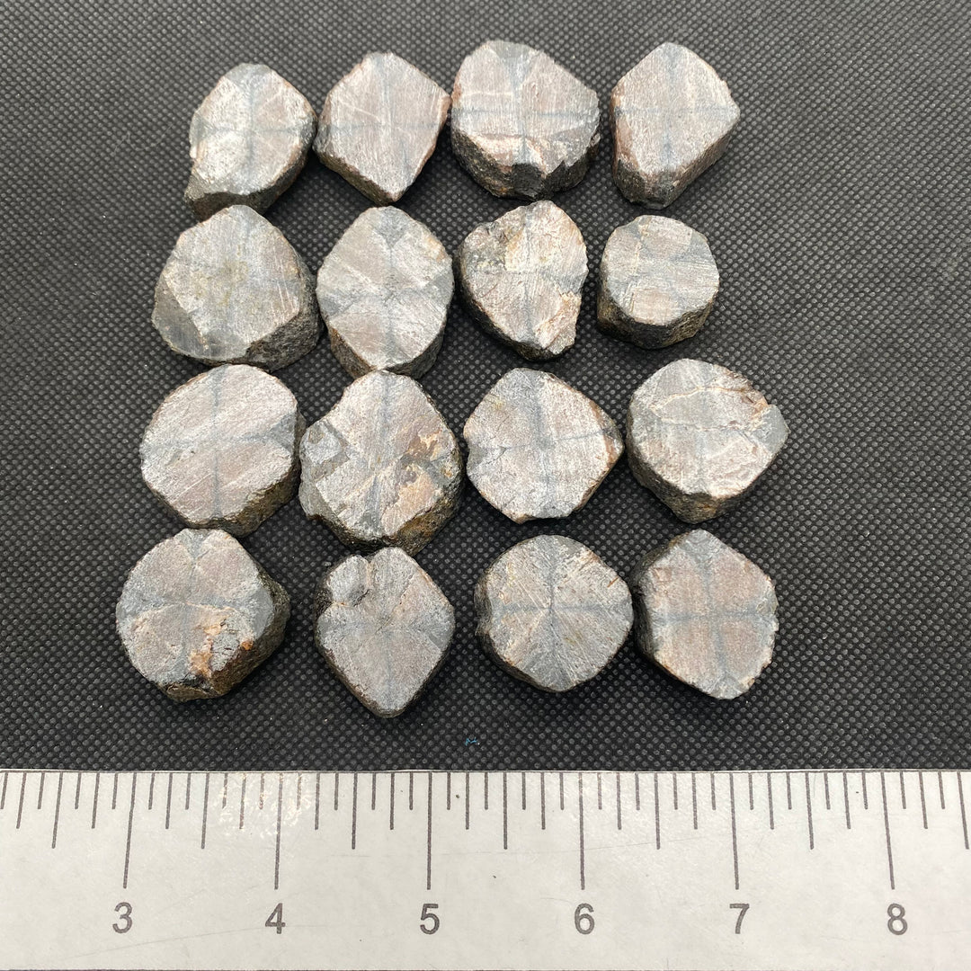 Chiastolite Tab-Rough- C810