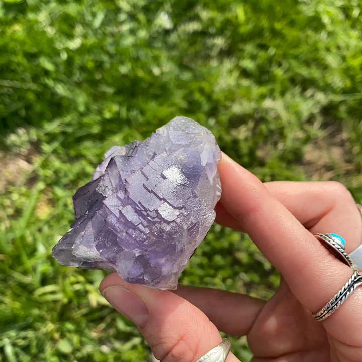 Fluorite Specimen-FLU1-12WZ