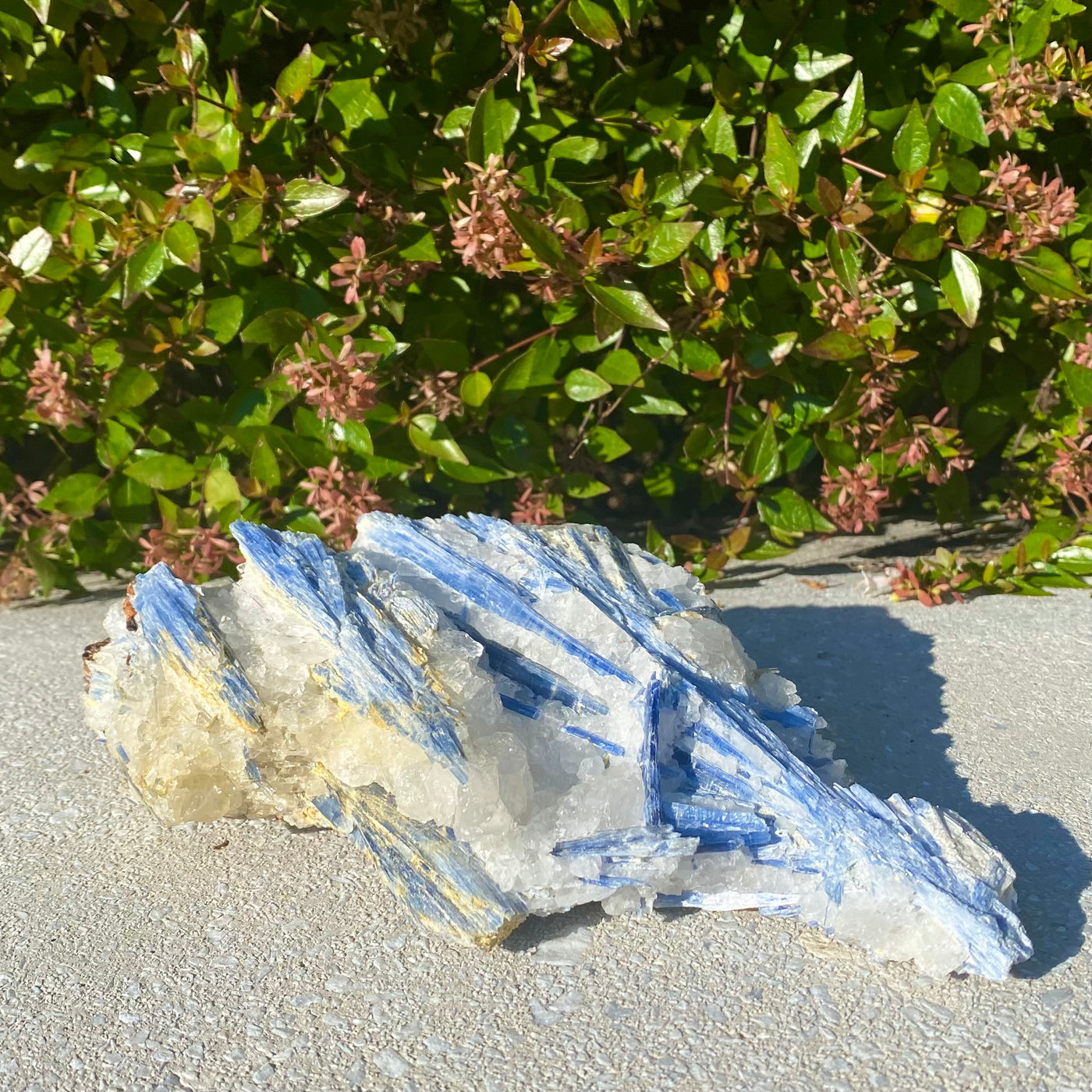 Blue Kyanite Specimen-BKY2-9