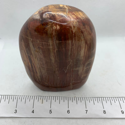 Petrified Wood Polished CCEC752