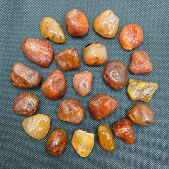 Carnelian Polished C302