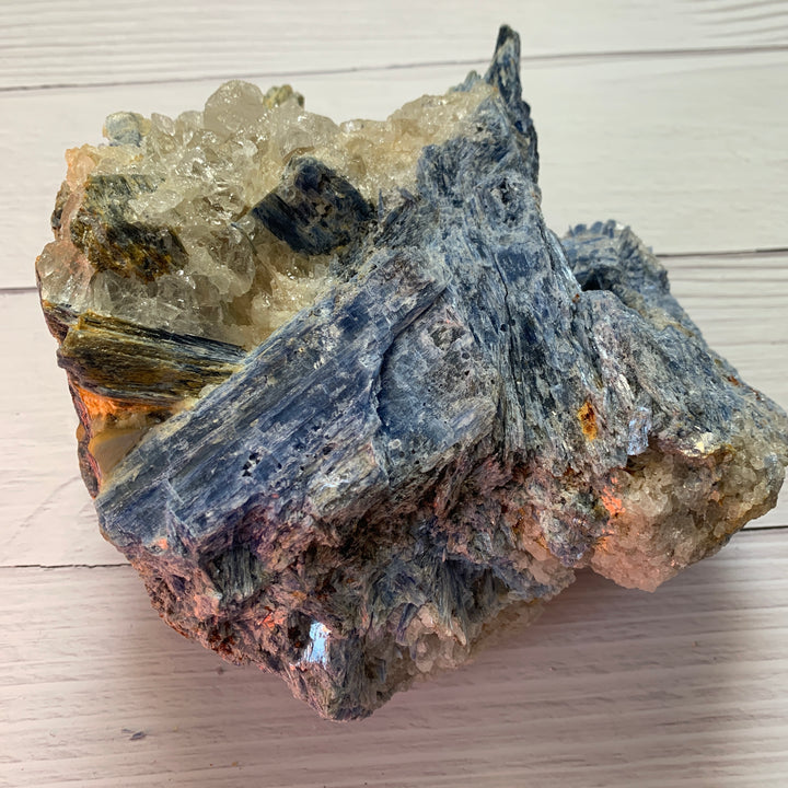 Blue Kyanite Rough Specimen BKY1-1