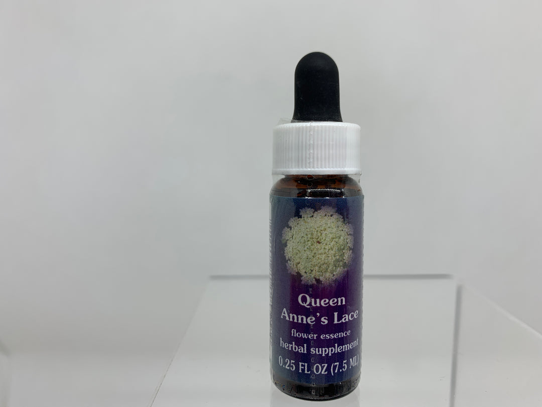 FES Flower Essence (1/4 oz), Queen Anne's Lace