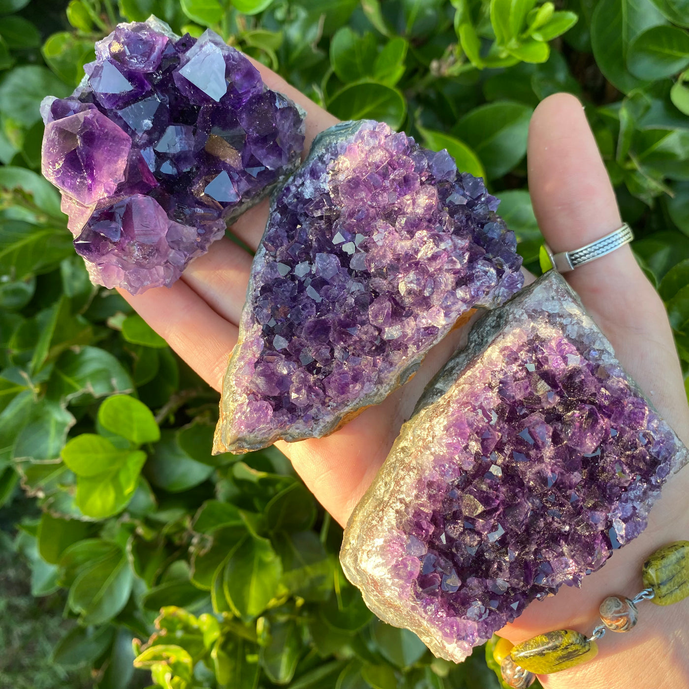 Amethyst Cluster AME11-5
