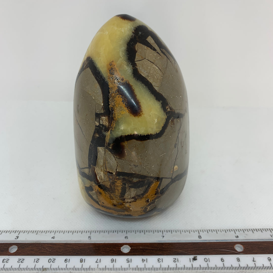 Septarian CCEC650