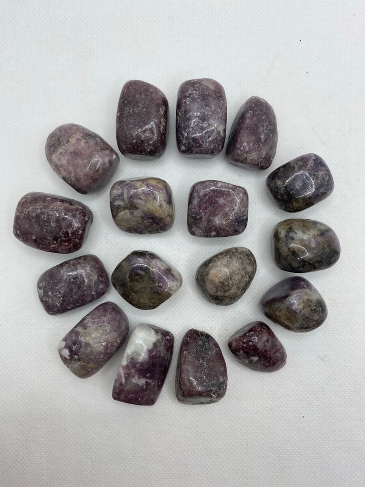 Lepidolite Polished L403