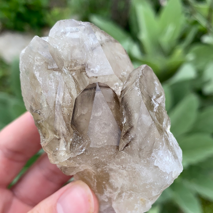 Smoky Elestial Quartz Cluster-ELE2-13